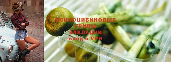 марки lsd Богданович